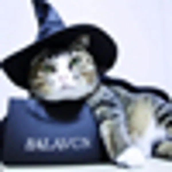 ▲witch cat▲