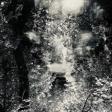 ... In the Absence of Light