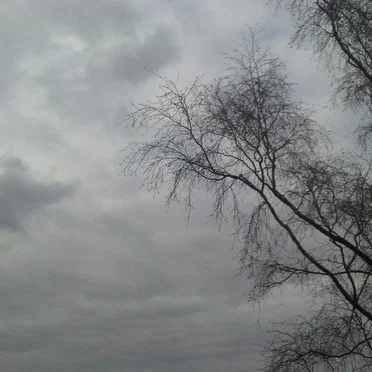 Beauty in Emptiness (demo)