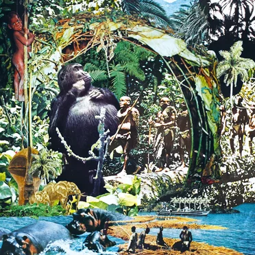 Visions Congo