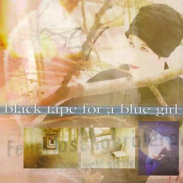 The Scarecrow by Black Tape for a Blue Girl - album cover