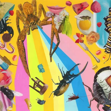 Small Sounds for Small Bugs by Various Artists - album cover
