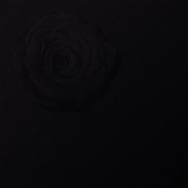 drn_1020