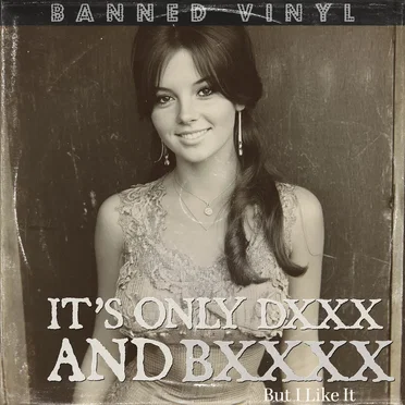 It’s Only Dxxx and Bxxxx but I Like It