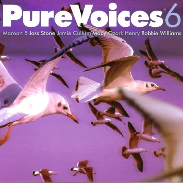 Pure Voices 6 by Various Artists - album cover