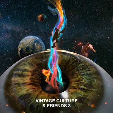 Vintage Culture & Friends 3
