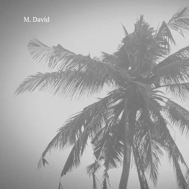 Tokyo Drifting by M. David - album cover