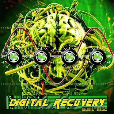 Digital Recovery, Part 11.2 by Various Artists - album cover