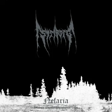 Nefaria / A Tragic Journey Towards the Light