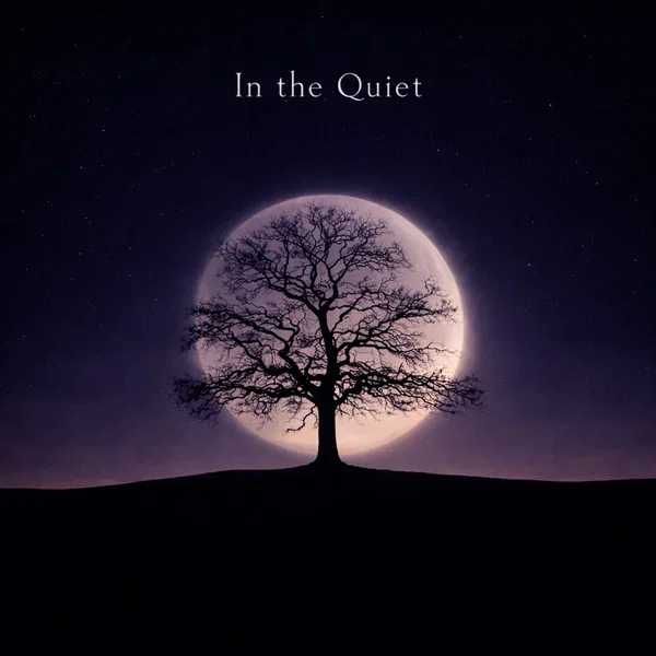 In the Quiet