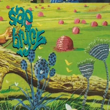 every summer by Sae Bryce - album cover