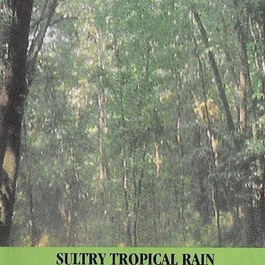 Sultry Tropical Rain