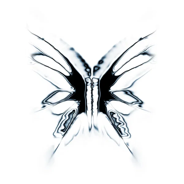 Lepidoptera