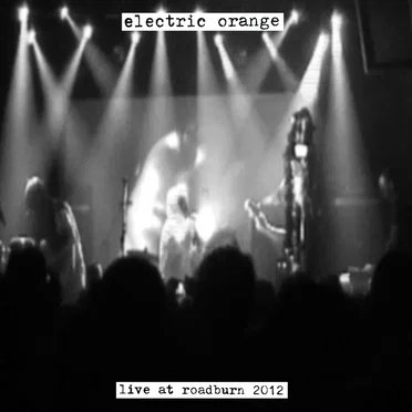 Live at Roadburn 2012 by Electric Orange - album cover