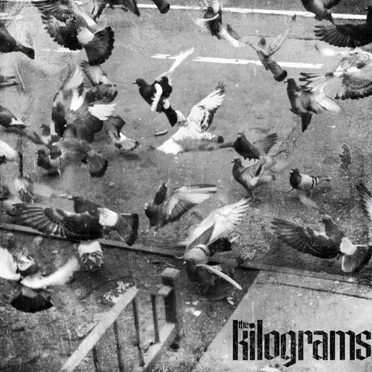 the kilograms by The Kilograms - album cover