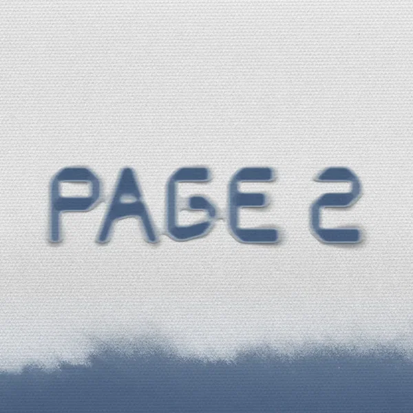 PAGE 2