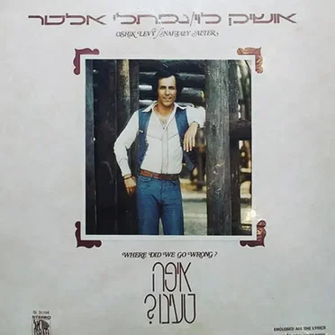 ?איפה טעינו