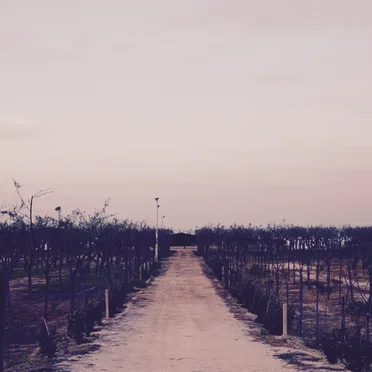 Chitarre di Montalbano