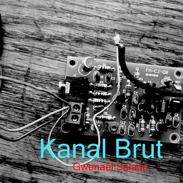 Kanal Brut by Gwenaël Salaün - album cover