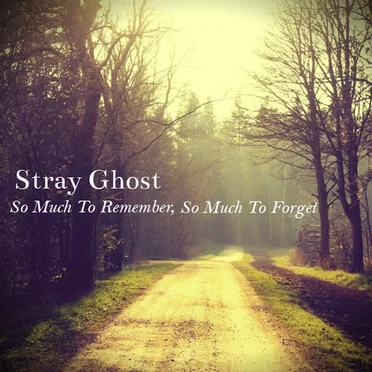So Much to Remember, So Much to Forget