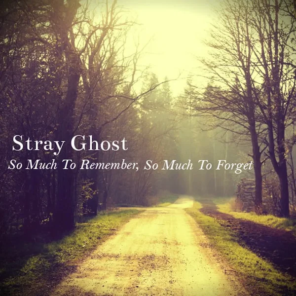 So Much to Remember, So Much to Forget