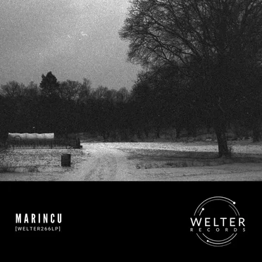 WELTER266LP