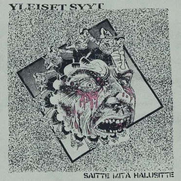 Saitte Mitä Halusitte