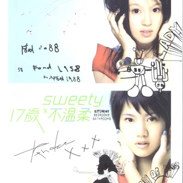17歲 不溫柔