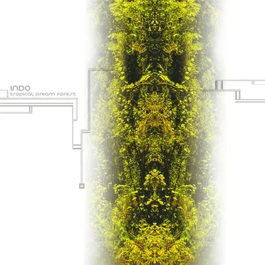 Tropcal Dream Forest by Indo - album cover