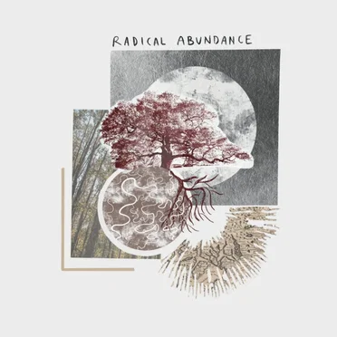 Radical Abundance by Victoria Hume - album cover