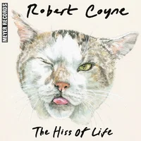Robert Coyne artist image