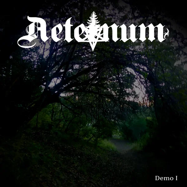 Demo 1