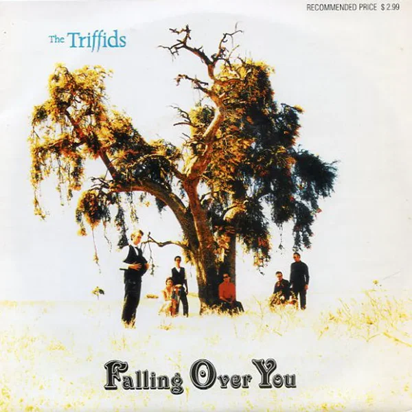 Falling Over You