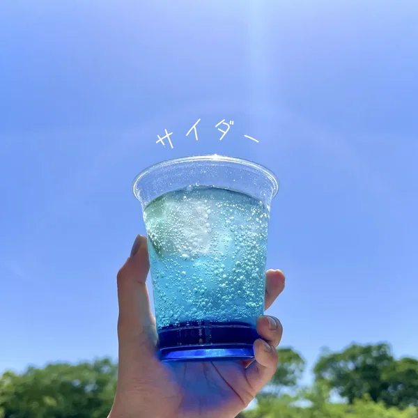 サイダー