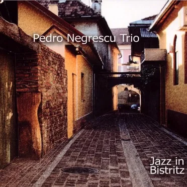 Pedro Negrescu Trio
