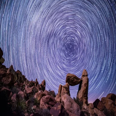 The dream of the sheepkeeper