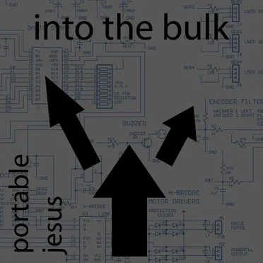 Into the Bulk