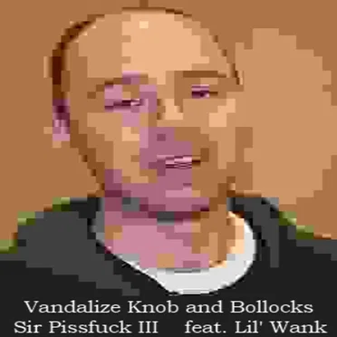 Vandalize Knob and Bollocks