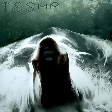 Into the Maelstrom by Tesma - album cover