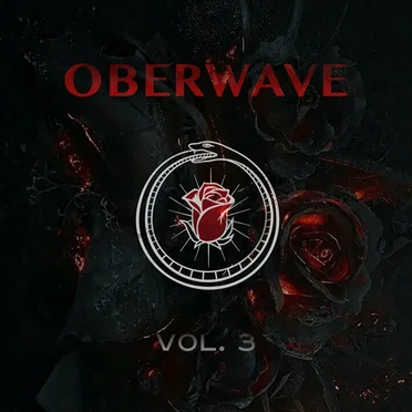 Oberwave Vol. 3 by Various Artists - album cover