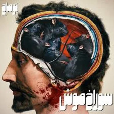 Soorakh Moosh by Toomaj Salehi - album cover