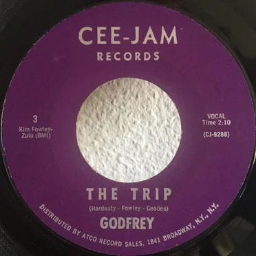 The Trip / Come On, Come On by Godfrey - album cover
