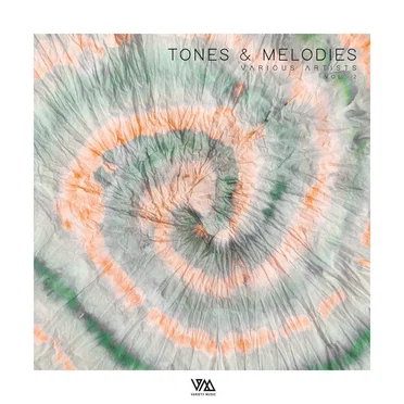 Tones & Melodies (Vol 2) by Various Artists - album cover