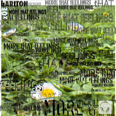 MORE tHAT fEELINGS by hARITON zOE - album cover