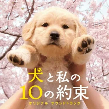 犬と私の10の約束