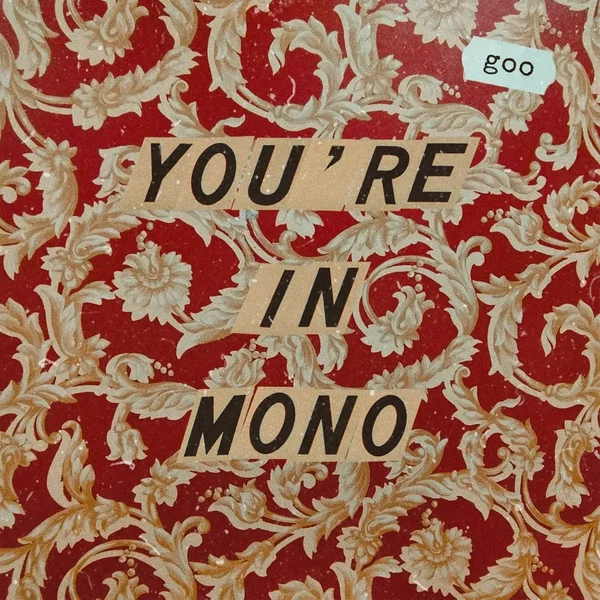 You're in Mono