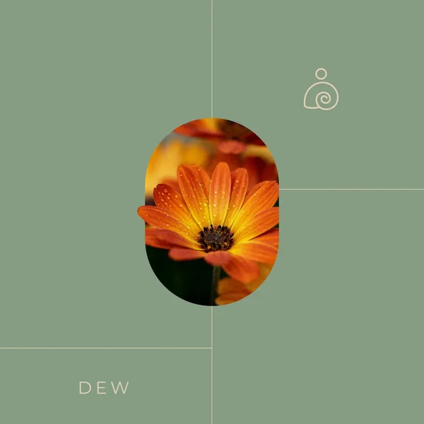 Dew