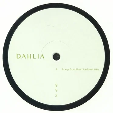 DAHLIA 993