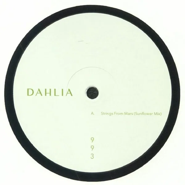 DAHLIA 993