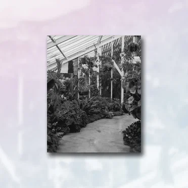 gardens by Alpha Beta Gamma - album cover